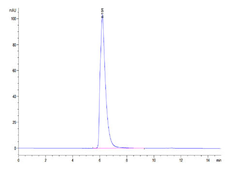 Recombinant Cynomolgus/Rhesus macaque TNFRSF7/CD27 Protein