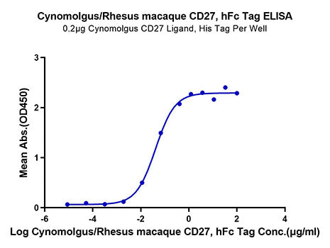 Recombinant Cynomolgus/Rhesus macaque TNFRSF7/CD27 Protein