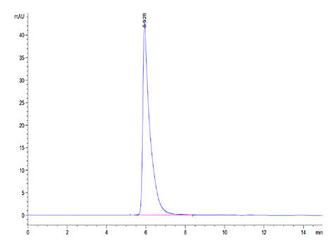 Recombinant Cynomolgus CRTAM/CD355 Protein