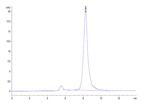 Recombinant Mouse BAMBI Protein