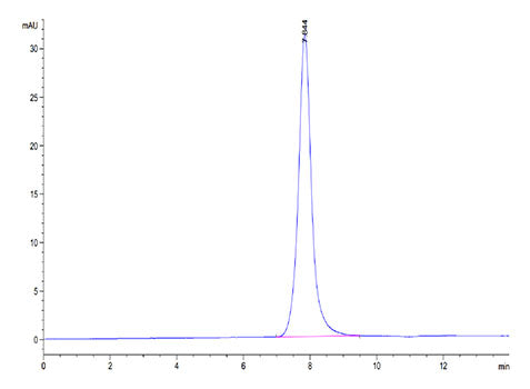 Recombinant Mouses LAMP5 Protein
