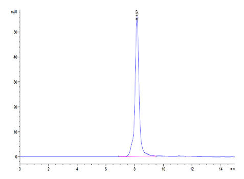 Recombinant Human OSCAR Protein