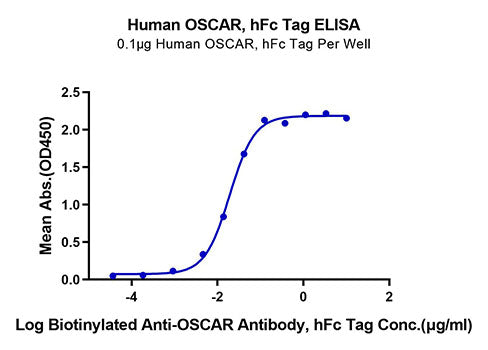 Recombinant Human OSCAR Protein