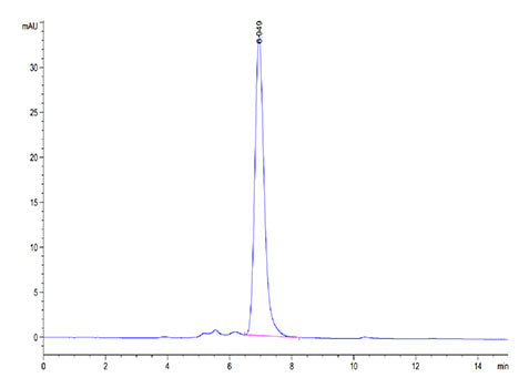 Recombinant Human IL-18 R beta/IL-1 R7/CD218b Protein