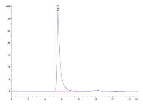 Recombinant Human B7-H7/HHLA2 Protein
