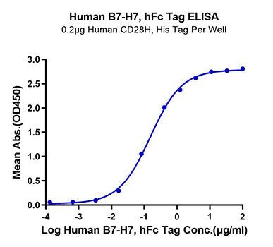 Recombinant Human B7-H7/HHLA2 Protein