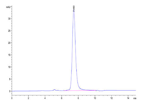 Recombinant Human GFR alpha-like/GFRAL Protein
