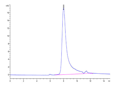 Recombinant Human IL-17A&IL-17F Protein