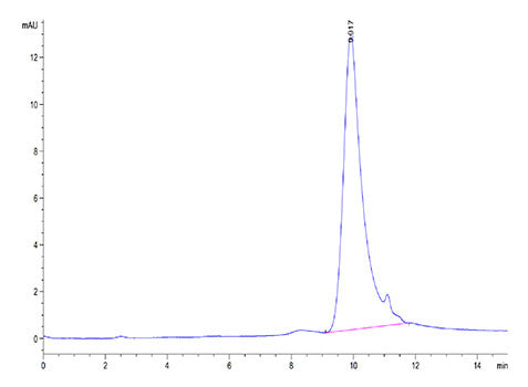 Recombinant Cynomolgus TSLP Protein