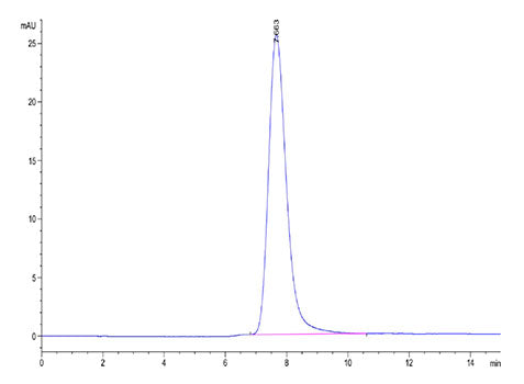Recombinant Rhesus macaque LILRB1/ILT-2/CD85j Protein