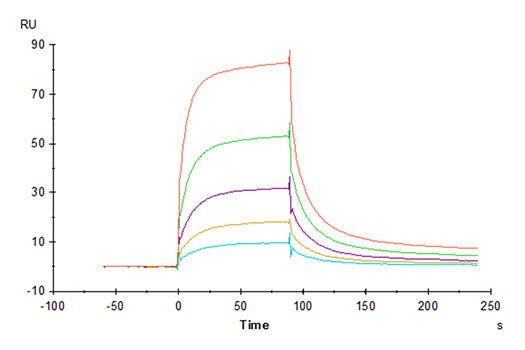 Recombinant Rhesus macaque LILRB1/ILT-2/CD85j Protein