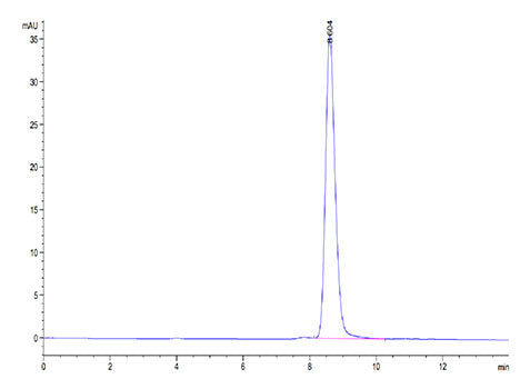 Recombinant Cynomolgus B7-1/CD80 Protein