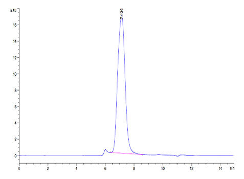 Recombinant Cynomolgus B7-2/CD86 Protein