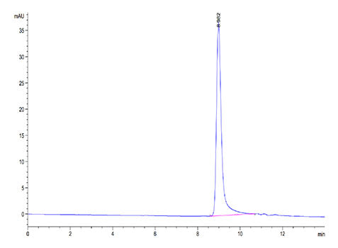 Recombinant Cynomolgus IL-17F Protein