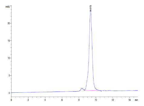 Recombinant Cynomolgus CTLA-4/CD152 Protein