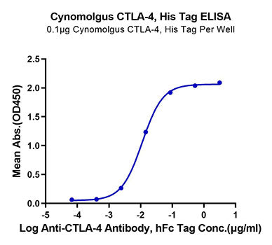 Recombinant Cynomolgus CTLA-4/CD152 Protein