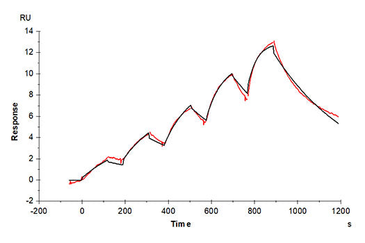 Recombinant Cynomolgus IL-3RA/CD123 Protein