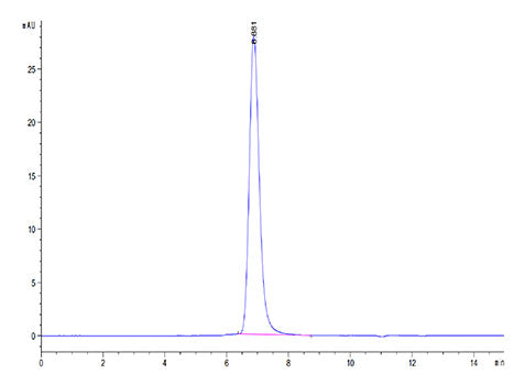 Recombinant Cynomolgus SIRP-alpha/CD172a Protein