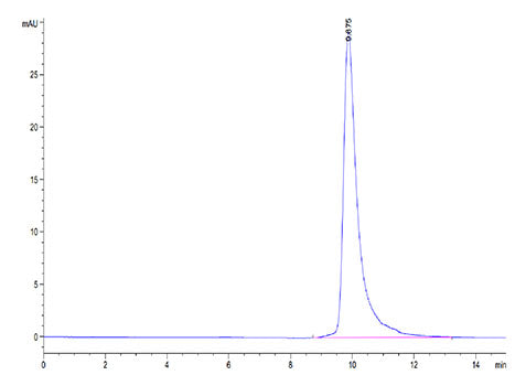 Recombinant Cynomolgus Beta-2-Microglobulin/B2M Protein