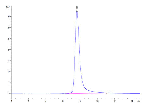 Recombinant Cynomolgus Fc gamma RIII/CD16 Protein