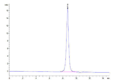 Recombinant Cynomolgus/Rhesus macaque TNFRSF9/4-1BB Protein