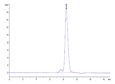Recombinant Cynomolgus B7-H2/ICOSLG/CD275 Protein