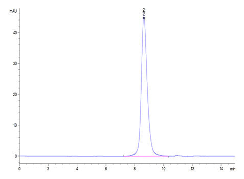 Recombinant Cynomolgus B7-H6/NCR3LG1 Protein