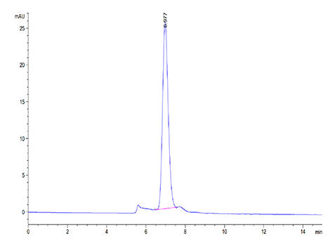 Recombinant Cynomolgus LDLR Protein
