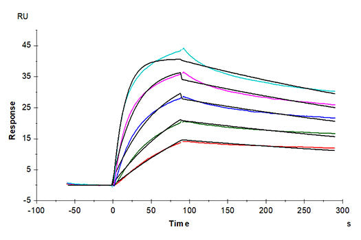 Recombinant Cynomolgus LDLR Protein