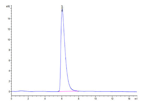 Recombinant Cynomolgus Glypican-3/GPC3 Protein