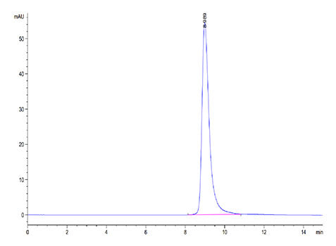 Recombinant Cynomolgus LILRB4/ILT-3/CD85k Protein