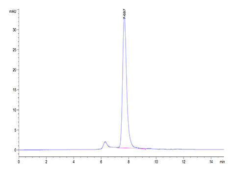 Recombinant Cynomolgus B7-H3/CD276 Protein