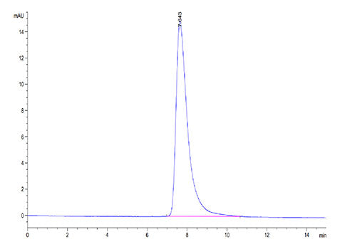 Recombinant Cynomolgus Serum albumin/ALB Protein
