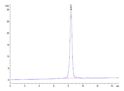 Recombinant Rhesus macaque PVR/CD155 Protein