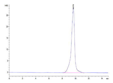 Recombinant Human IL-15RA&IL-15 Protein