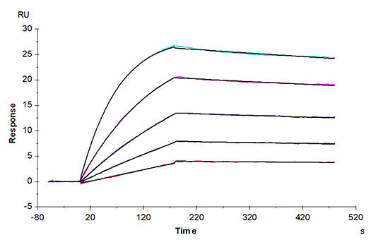 Recombinant Human IL-15RA&IL-15 Protein