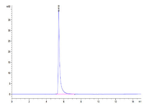 Recombinant Mouse Integrin alpha V beta 6 (ITGAV&ITGB6) Heterodimer Protein