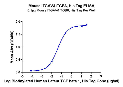 Recombinant Mouse Integrin alpha V beta 6 (ITGAV&ITGB6) Heterodimer Protein