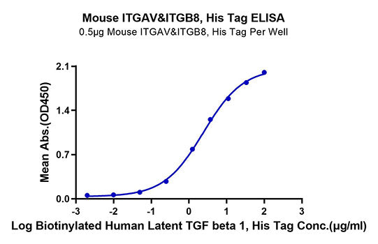 Recombinant Mouse Integrin alpha V beta 8 (ITGAV&ITGB8) Heterodimer Protein