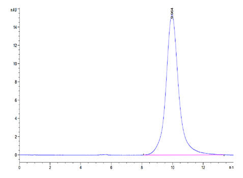 Recombinant Human EPHB2 Protein