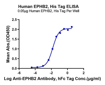 Recombinant Human EPHB2 Protein