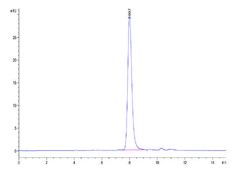 Recombinant Human DLK1 Protein