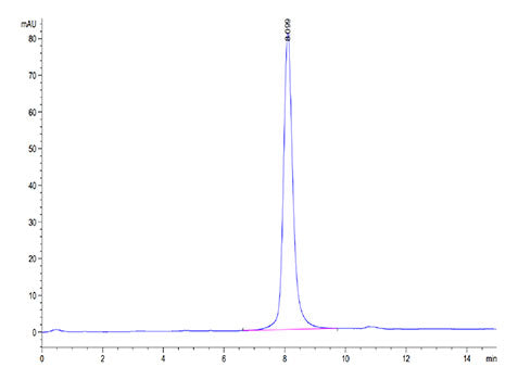 Recombinant Mouse CSF2RA/GM-CSF R alpha/CD116 Protein
