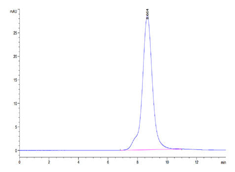 Recombinant Mouse FGFR-2 beta (IIIb)/KGFR/CD332 Protein
