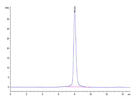 Recombinant Mouse ROR1 Protein