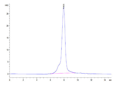 Recombinant Human IL-31RA Protein