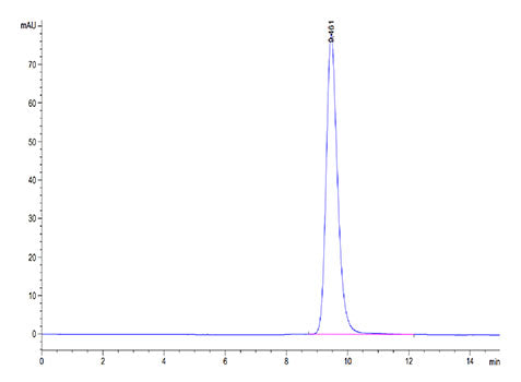 Recombinant Human FR-beta/FOLR2 Protein