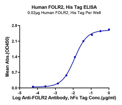 Recombinant Human FR-beta/FOLR2 Protein