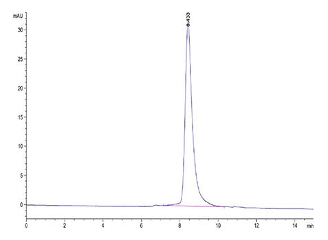 Recombinant Human B7-H7/HHLA2 Protein