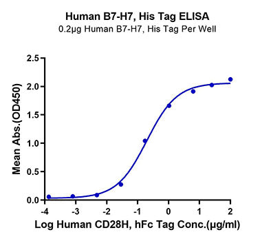 Recombinant Human B7-H7/HHLA2 Protein
